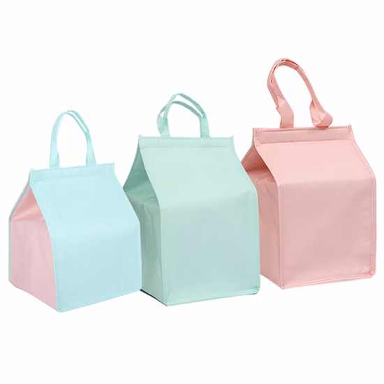 Borsa termica per pranzo termica isolata in tessuto non tessuto personalizzata da 6 pacchi Produzione all'ingrosso in Cina